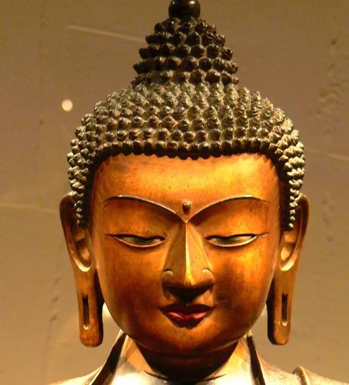 【菩提人间】为什么释迦牟尼佛教我们念阿弥陀佛 第1张图片